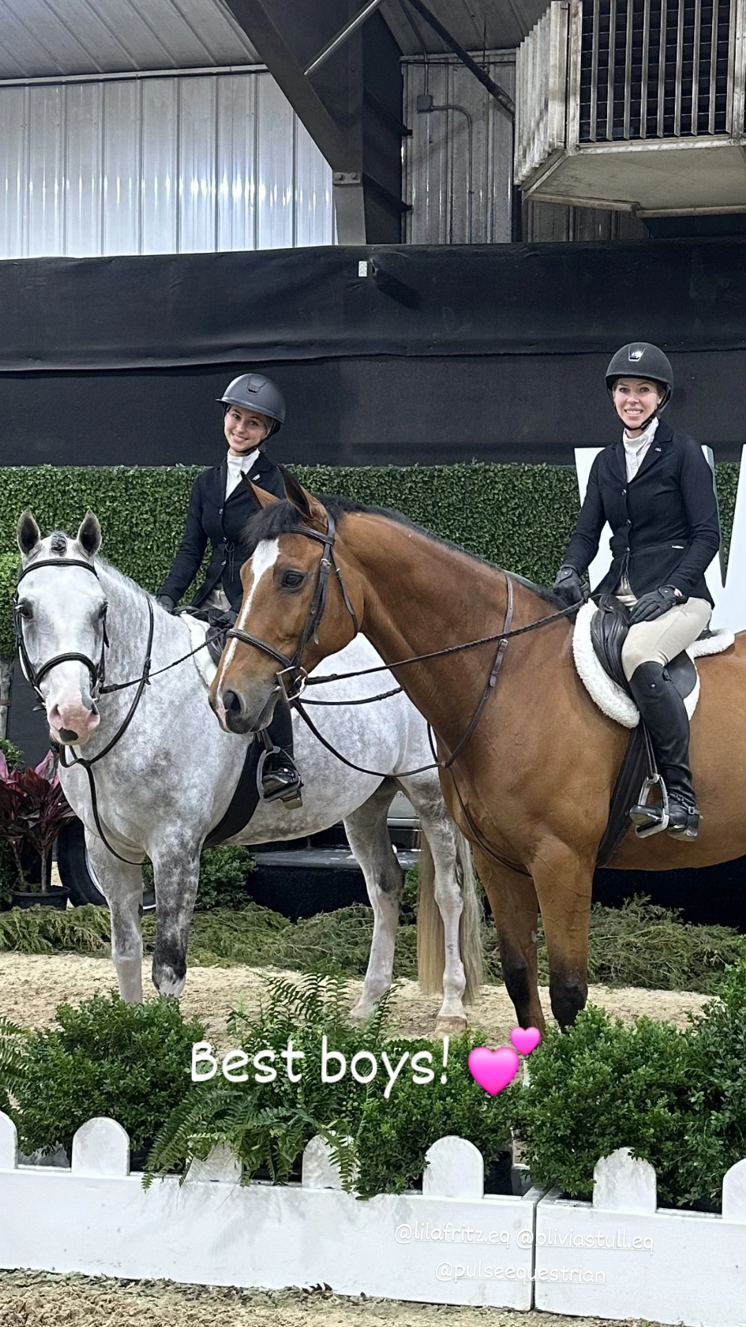 Pulse Equestrian coaches and horses
