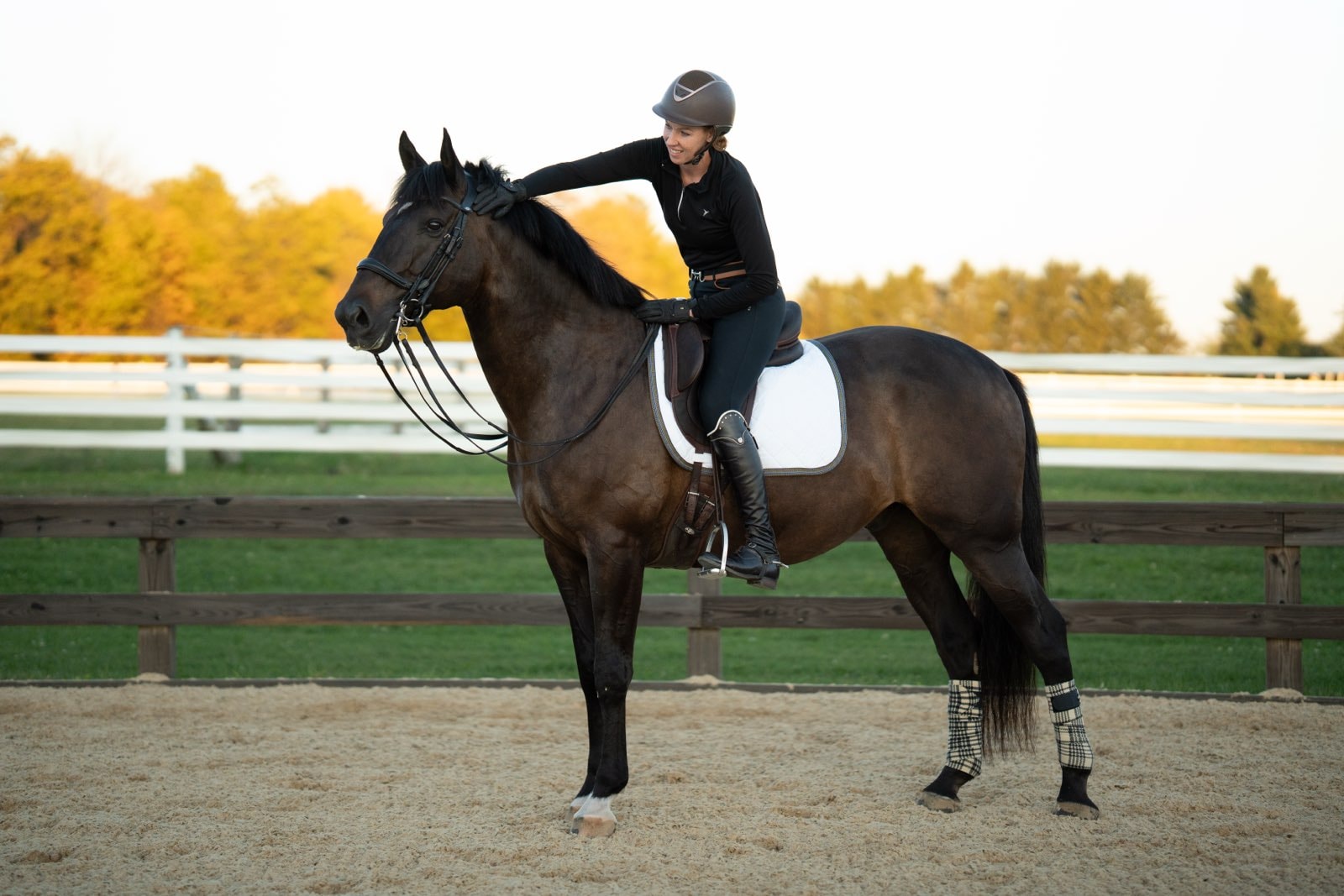 Sales equestrian discipline